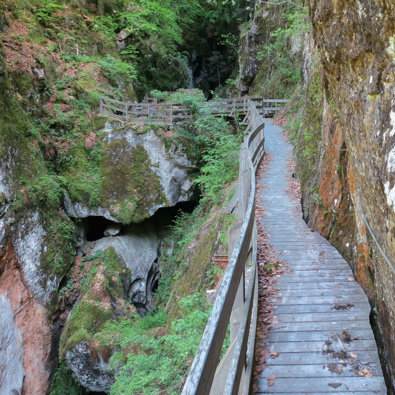 de Tête Noire et Grotte aux Nymphes, randonnée visite à Trient